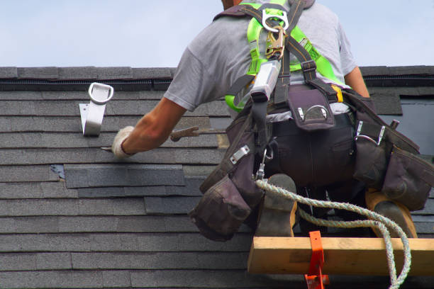 Best Roof Leak Repair  in Hanover, MN