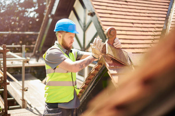 Professional Roofing Contractor in Hanover, MN
