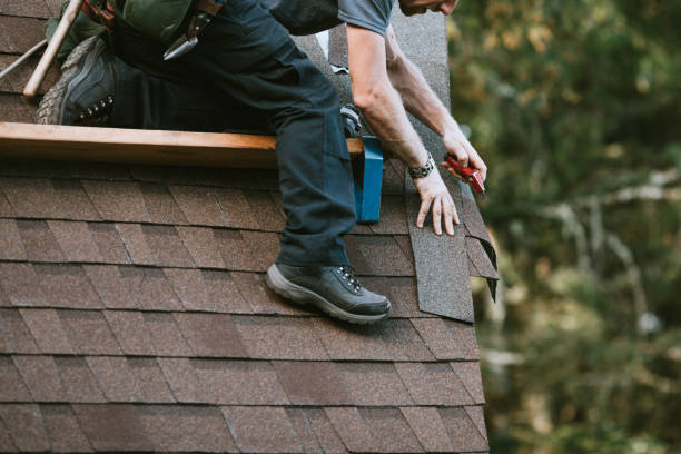 Best Flat Roof Repair Services  in Hanover, MN